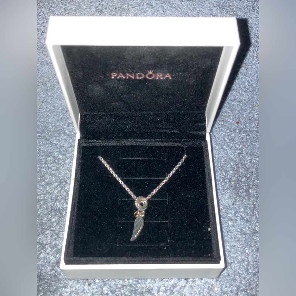 Pandora Love and Guidance Necklace.